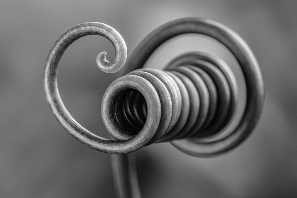 Крошечные миры: Gобедители конкурса Macro Art Photography Awards 2020 Крошечные миры: Gобедители конкурса Macro Art Photography Awards 2020